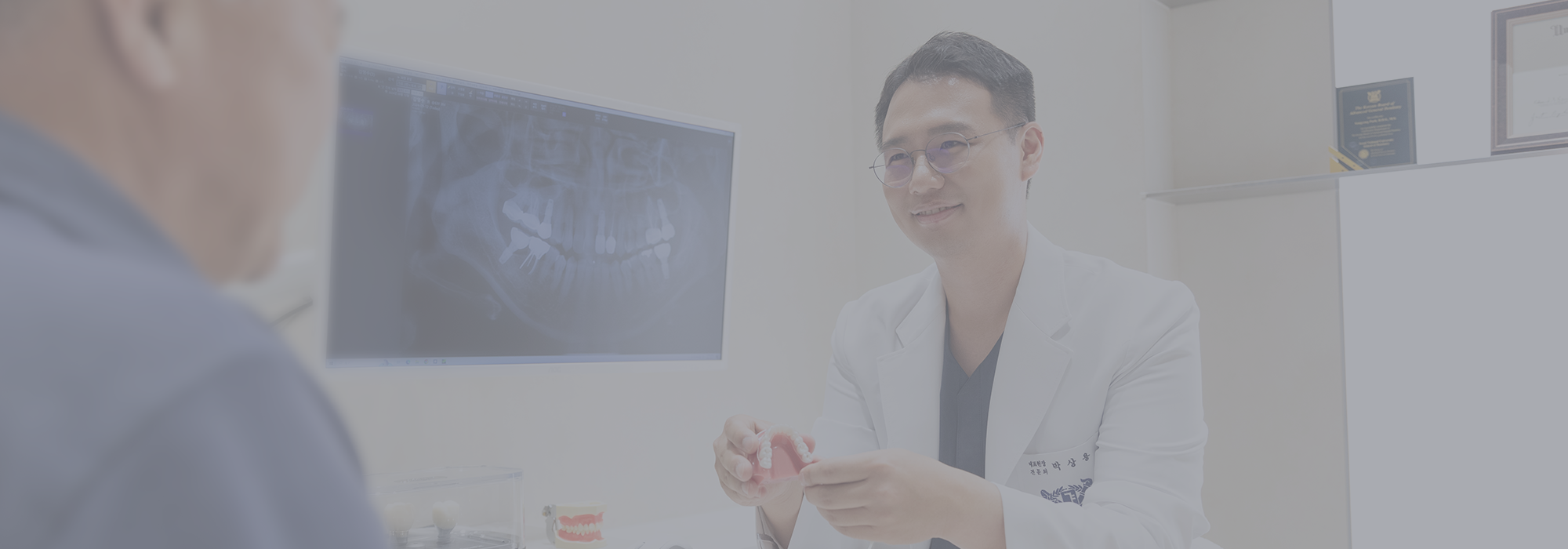 뼈이식 임플란트